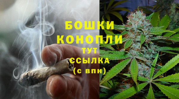 ешки Ладушкин