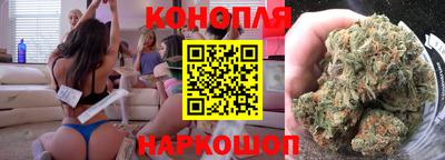 гидропоника Кингисепп