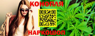 прущие грибы Беслан