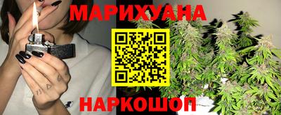 гидропоника Кингисепп