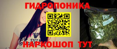 хмурый Бийск