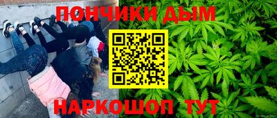 хмурый Бийск